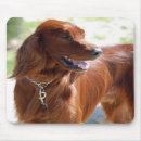 Search for setter mousepads Irish