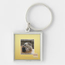 Search for caffeine key rings I can has cheezburger