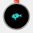 Search for grouper Nautical