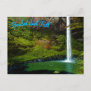 Search for jungles postcards Forest
