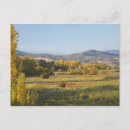 Search for snowy postcards New south wales