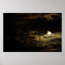 Search for moonshine posters Night