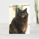 Search for halloween cards Cat