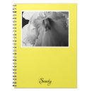Search for daffodil photography Flower