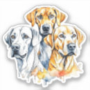 Search for funny dog quotes stickers Animals