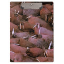 Search for environment clipboards Public land