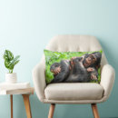 Search for chimpanzees cushions Monkey