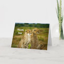 Search for africa thank you cards Wildlife