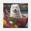 Search for samoyed magnets Pet