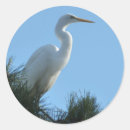 Search for egret stickers Florida