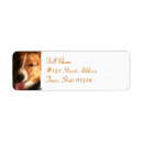 Search for cardigan return address labels Dogs