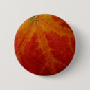 Search for autumn leaf badges Maple