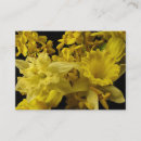 Search for daffodil business cards Flower