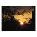 Search for scenic landscape posters Beautiful