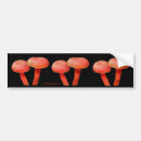 Search for mushroom bumper stickers Car