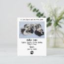Search for littering postcards Cute