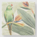 Search for palm leaf coasters Leaves