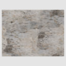Search for birch bark tissue paper Wood