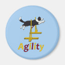 Search for agile magnets Dog