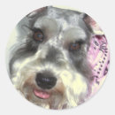 Search for love schnauzers stickers Pet
