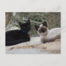 Search for cute cowboy postcards Adorable