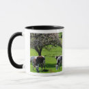 Search for grazing cows mugs Nature