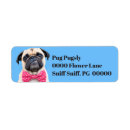 Search for pugs return address labels Animal