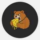 Search for funny bear stickers Reel