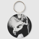 Search for contrast key rings Nature