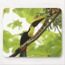 Search for rica mousepads Rainforest