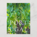 Search for maturing Douro