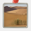 Search for dune christmas tree decorations Africa