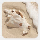 Search for turk stickers Ocean