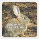 Search for thinking of you stickers Quote