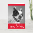 Search for french bulldog birthday cards Puppies