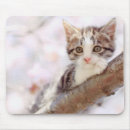 Search for 4 kids mousepads Animal