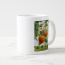 Search for malus Malus apple fruit