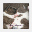 Search for kitten magnets Babies