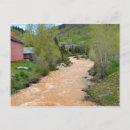 Search for animas River