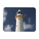 Search for turk magnets Tropical