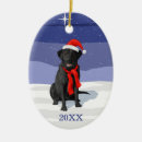 Search for hunting dog christmas tree decorations Labrador retriever