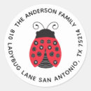 Search for spotted ladybug Spots