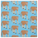 Search for monkey fabric Cartoon