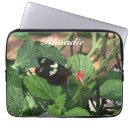 Search for butterfly pictures electronics Floral