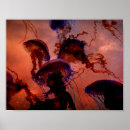 Search for stoner posters Nature