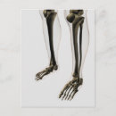 Search for three dimensional postcards Human representation