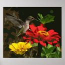 Search for hover posters Wings