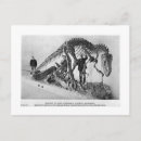 Search for dinosaur skeleton postcards Paleontology