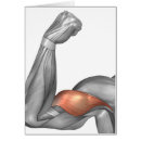 Search for ulna Healthcare