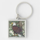 Search for bald eagle key rings Wild life